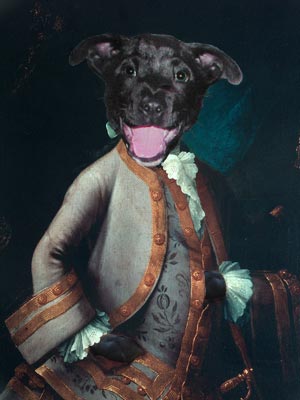 wolfie mozart