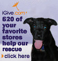 igive.com